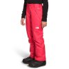 Kids * | The North Face Girl'S Freedom Insulated Pant Sale Online Paradise Pink