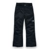 Kids * | The North Face Boy'S Freedom Insulated Pant Hot Sell Tnf Black