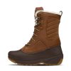 Women * | The North Face Women'S Shellista Iv Mid Wp Special Offers